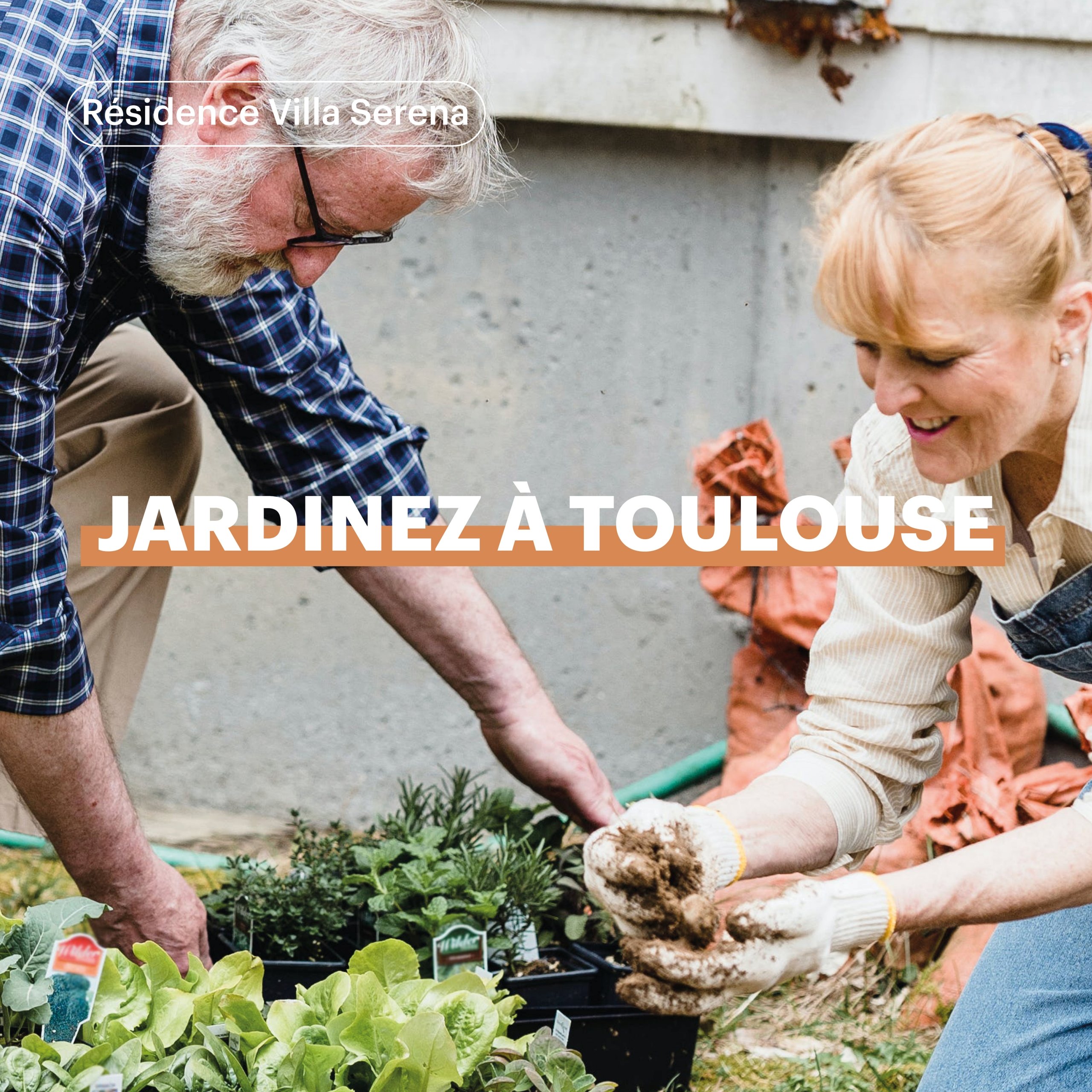 Potager à Toulouse