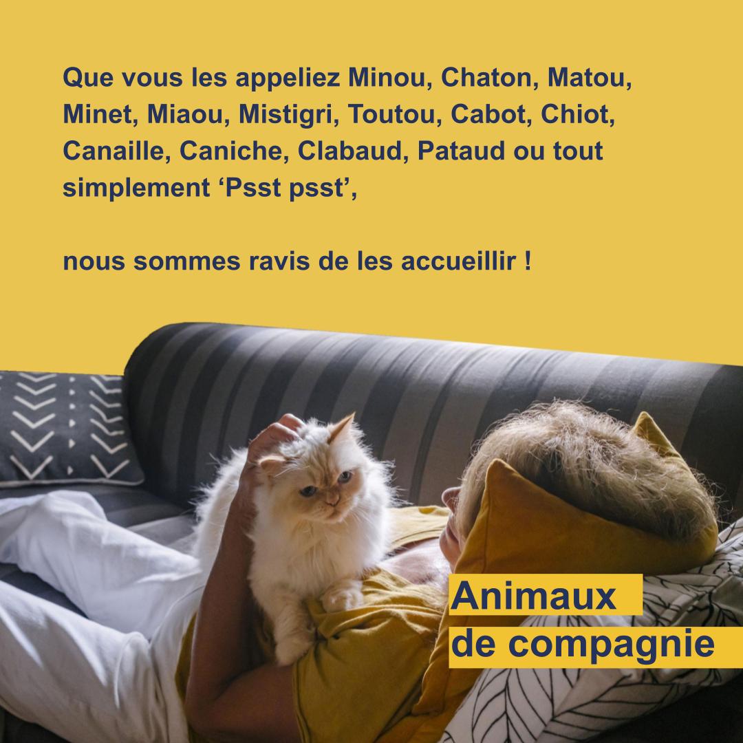 Vos animaux sont des résidents à part entière chez Mobicap 🐕🐈